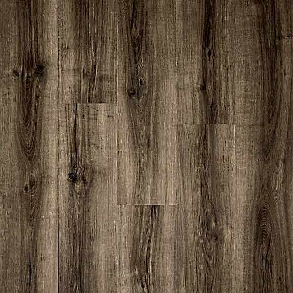 Kiri - Rigel Dryback